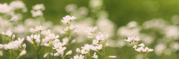 Twitter New Header Image 01863