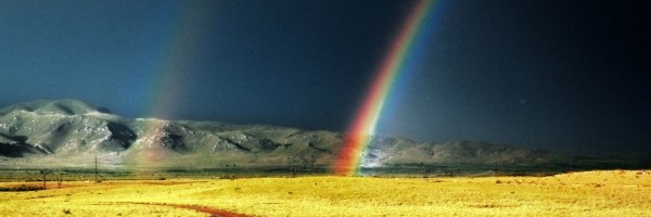 Twitter New Header Image 01869