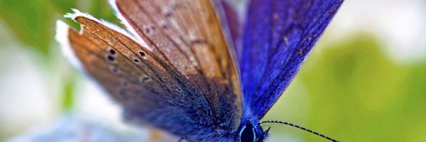 Twitter New Header Image 01870