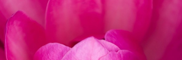 Twitter New Header Image 01872