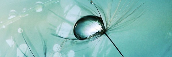 Twitter New Header Image 01878