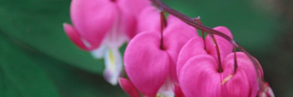 Twitter New Header Image 01880