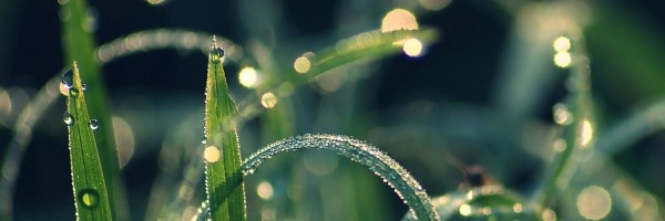 Twitter New Header Image 01881