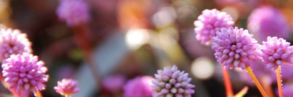 Twitter New Header Image 01883